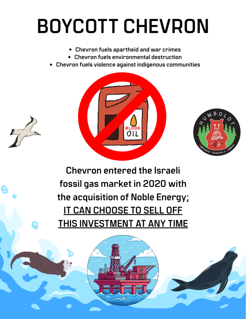 Flyer with information on why HDSA is calling for and joining the national Boycott Chevron Campaign.